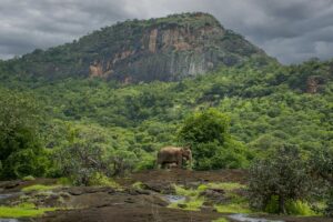 Pollachi Tourist Places